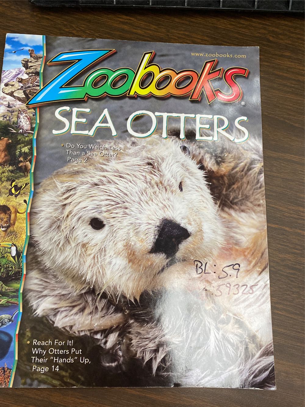 Sea Otters - Scholastic Inc (Zoobooks/Wildlife Education) book collectible [Barcode 9780937934708] - Main Image 2