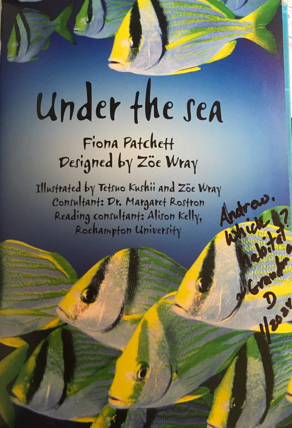 Under the Sea: Internet Referenced (Beginners Nature - New Format, Level 1) - Fiona Patchett (Usborne Pub Ltd - Hardcover) book collectible [Barcode 9780794513368] - Main Image 3