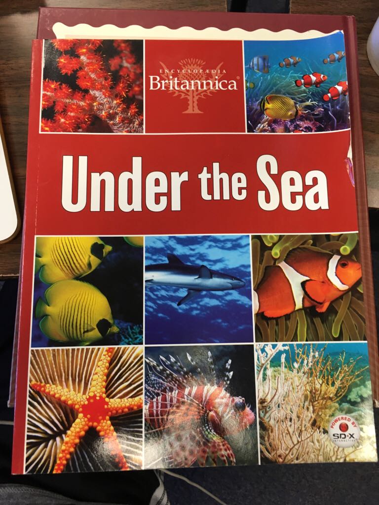 Follow My Leader A Counting Book From 1 To 10 xG41- IQ (ABC, Time, Shape, color Etc)