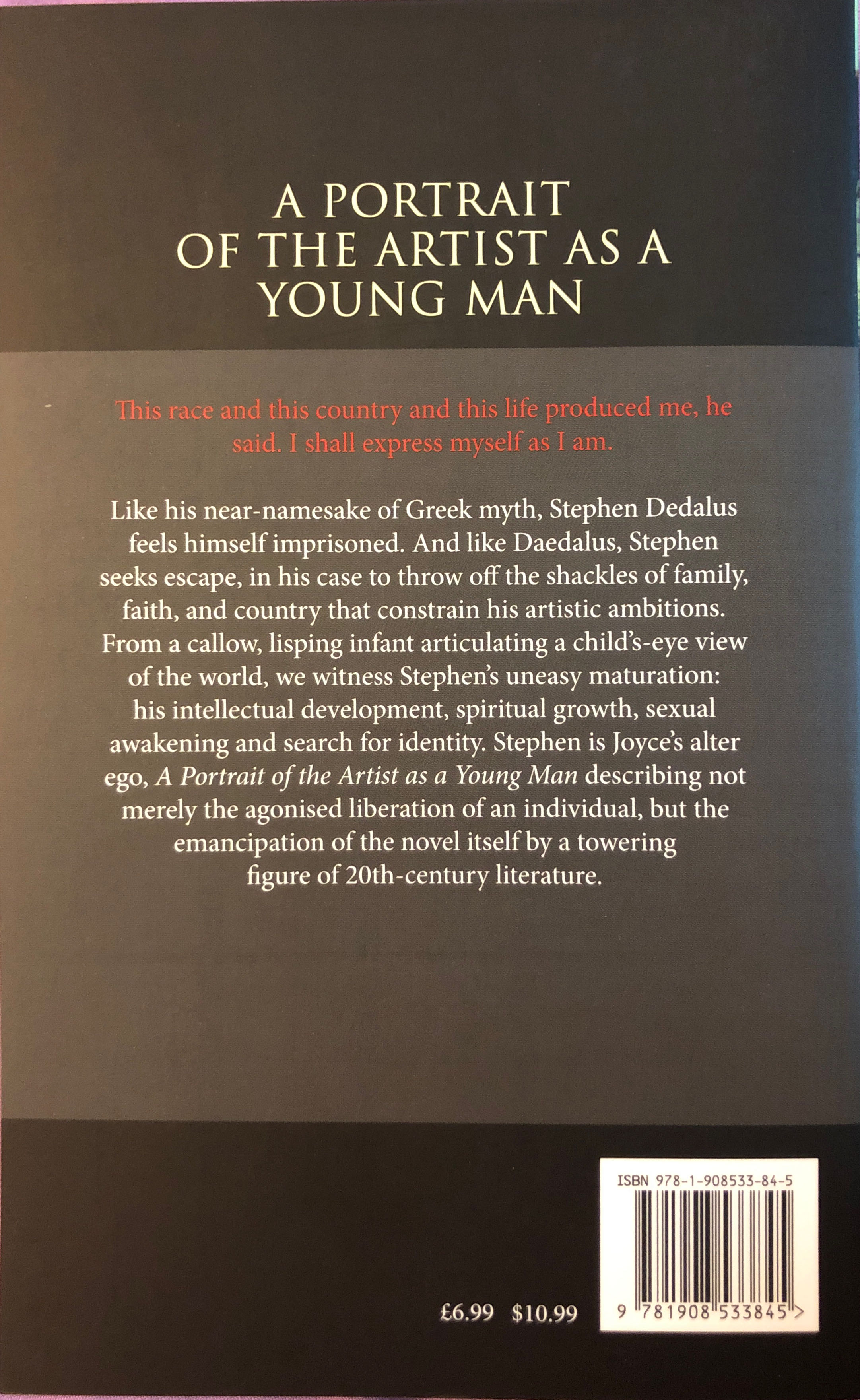 A Portrait Of The Artist As A Young Man - James Joyce (Paperback) book collectible [Barcode 9781908533845] - Main Image 2