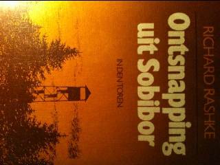 Stronger Than Magic and Starlight Surprise (My Secret Unicorn)