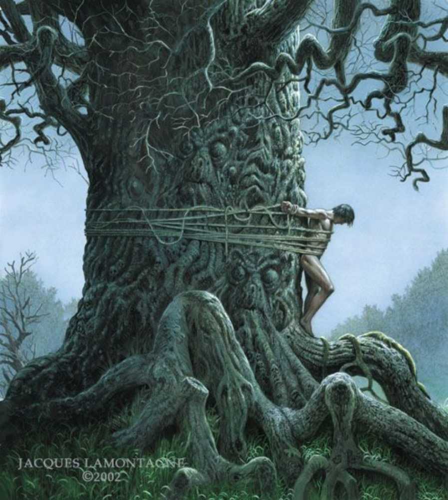 The Summer Tree - Guy Gavriel Kay (McClelland  - Paperback) book collectible [Barcode 9780771044724] - Main Image 2