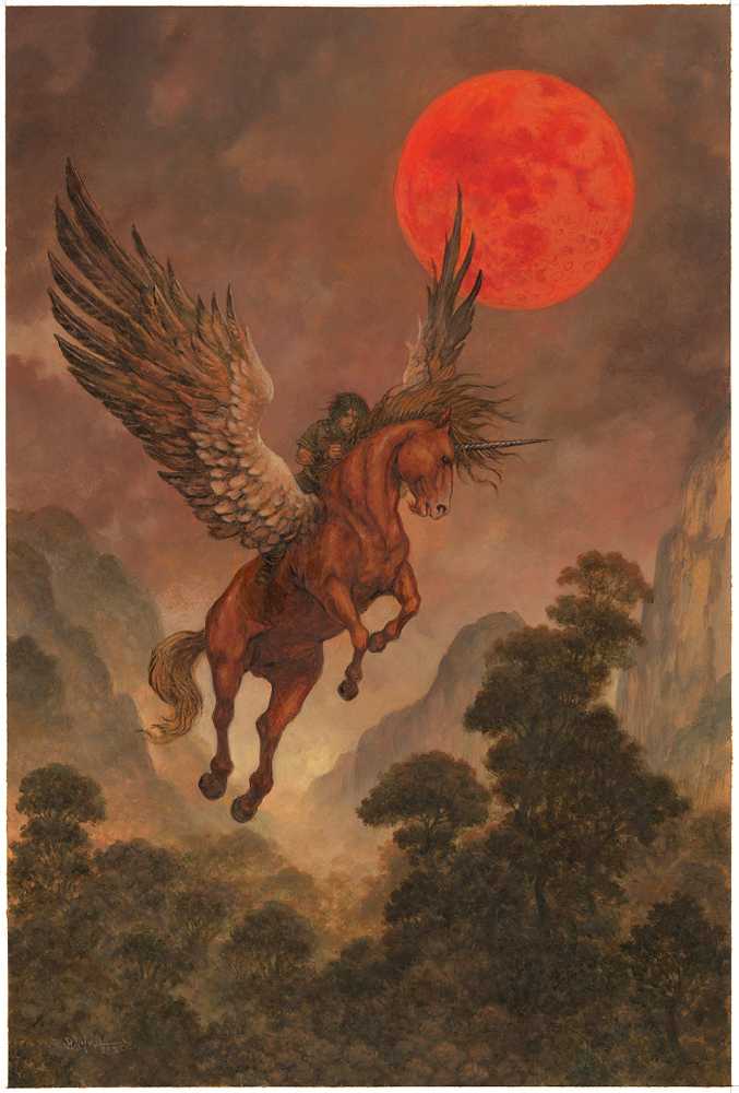 The Summer Tree - Guy Gavriel Kay (Simon Vance - Audiobook) book collectible - Main Image 3