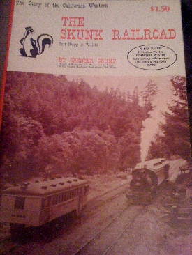 High School Musical: The Essential Guide -