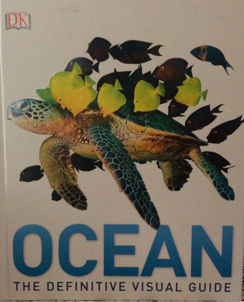 Image 3614424