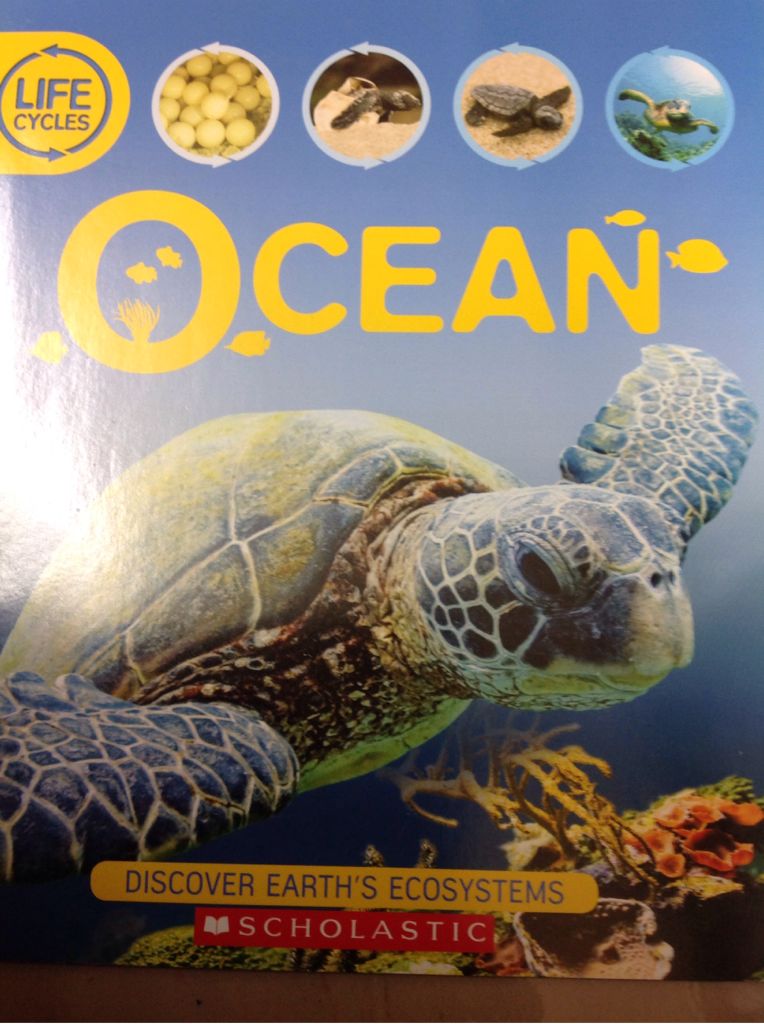 Nothing Lasts Forever