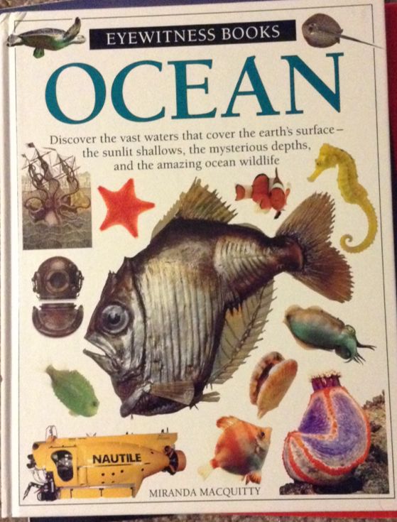 Image 3614429