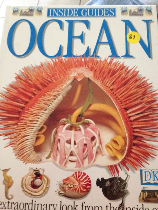 Ocean  (Dk Pub) book collectible [Barcode 9780789420350] - Main Image 1