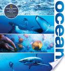 The Last Of The Crazy People