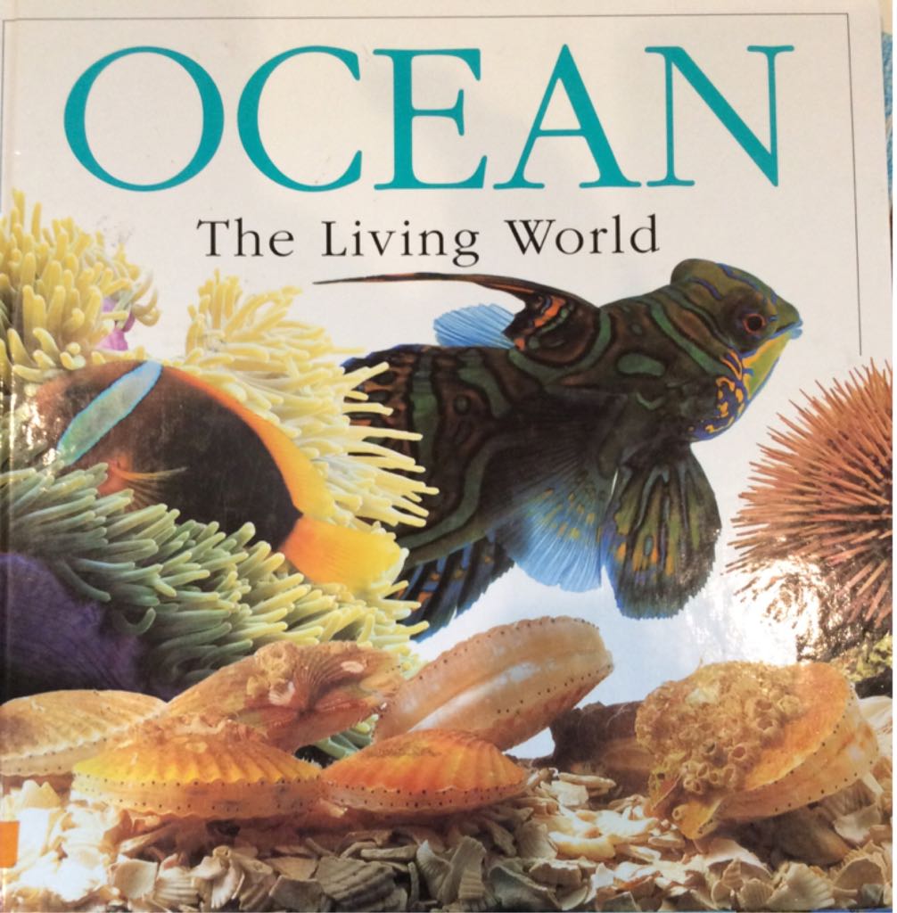Ocean - Britta Teckentrup (Dorling Kindersley Family Library) book collectible [Barcode 9781564587756] - Main Image 1
