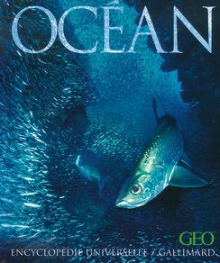 Catching The Wolf Of Wall Street