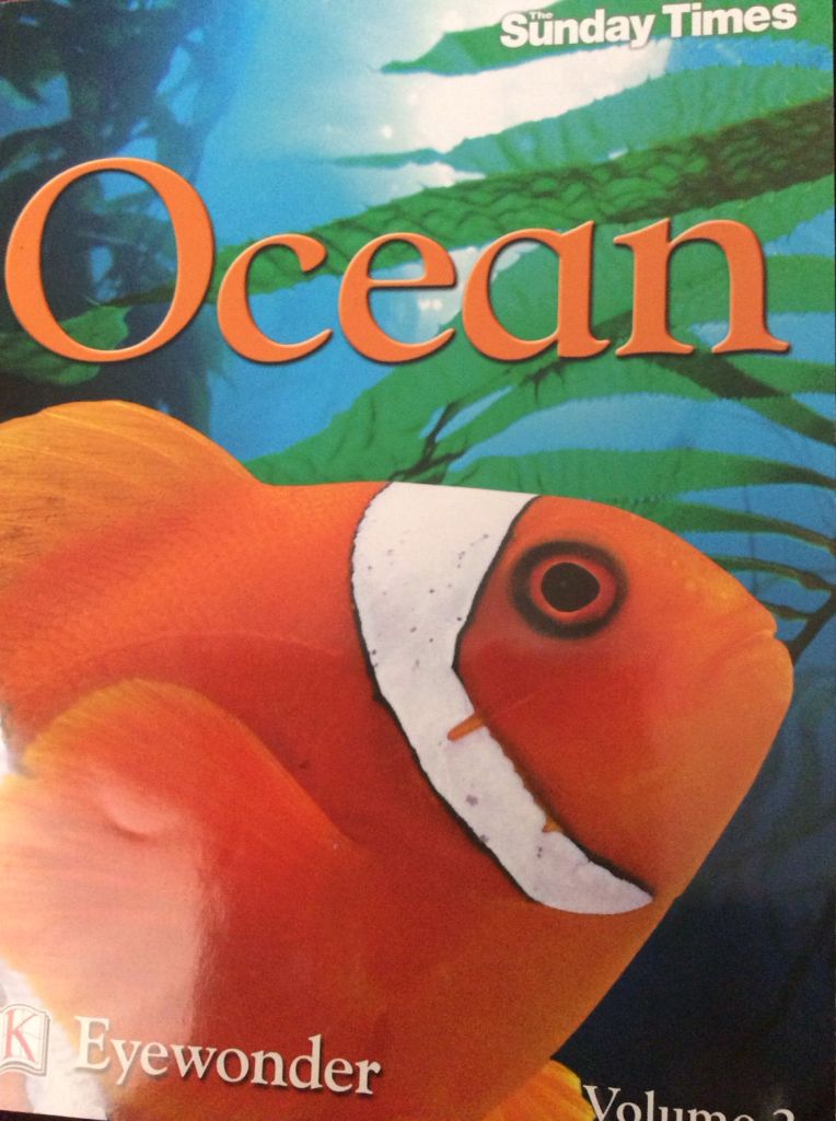 Exhibition and Display Design: Working with Computer Type 5