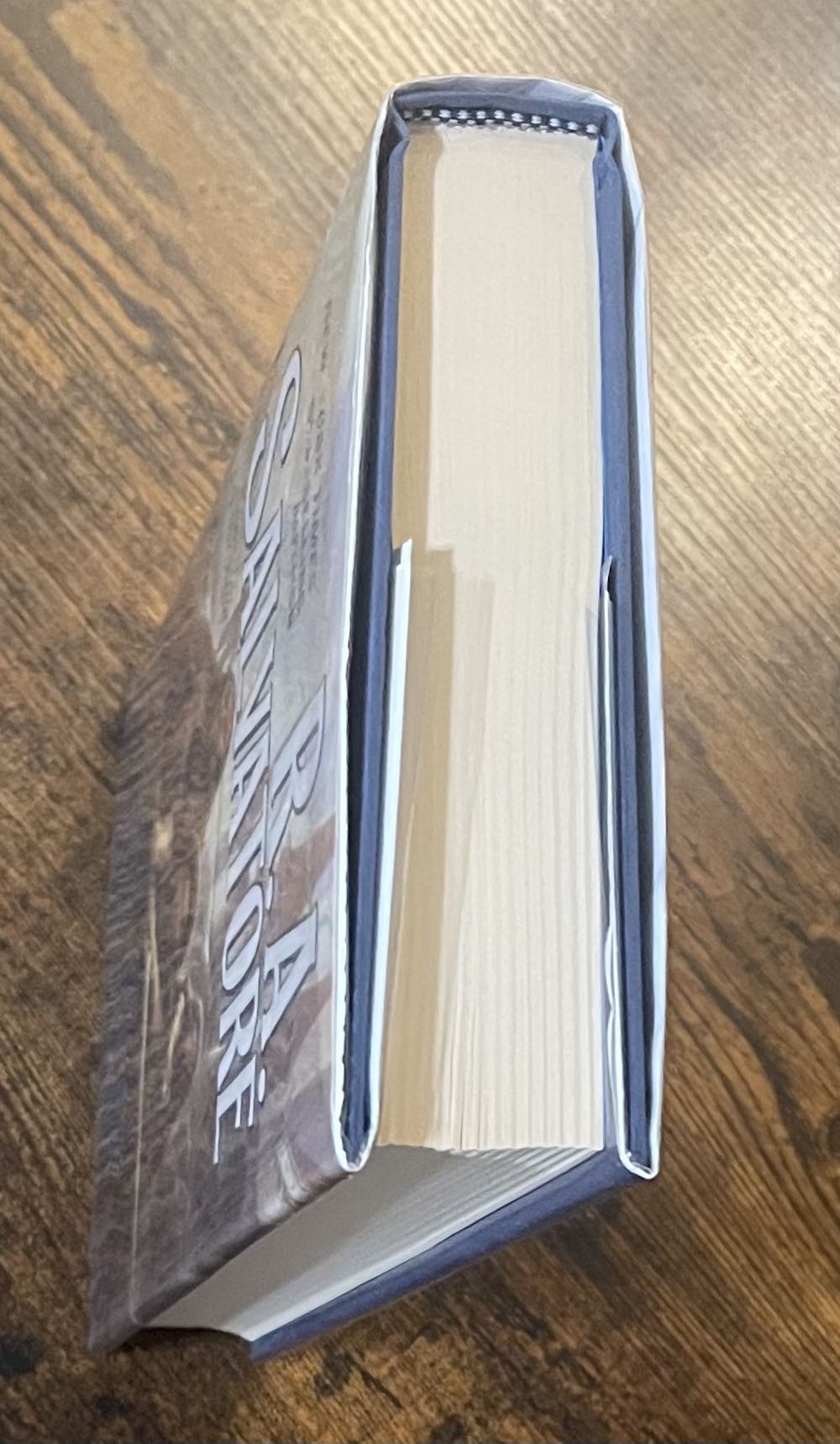 Saga Of The First King: Book 4: The Bear - R. A. Salvatore (Tor - Hardcover) book collectible [Barcode 9780765317919] - Main Image 3