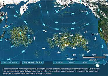Pacific Vortex!  (Hachette UK) book collectible [Barcode 9780748114351] - Main Image 2