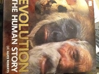 The Pursuit of Happyness