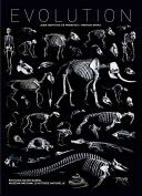 The Third Reich: Barbarossa