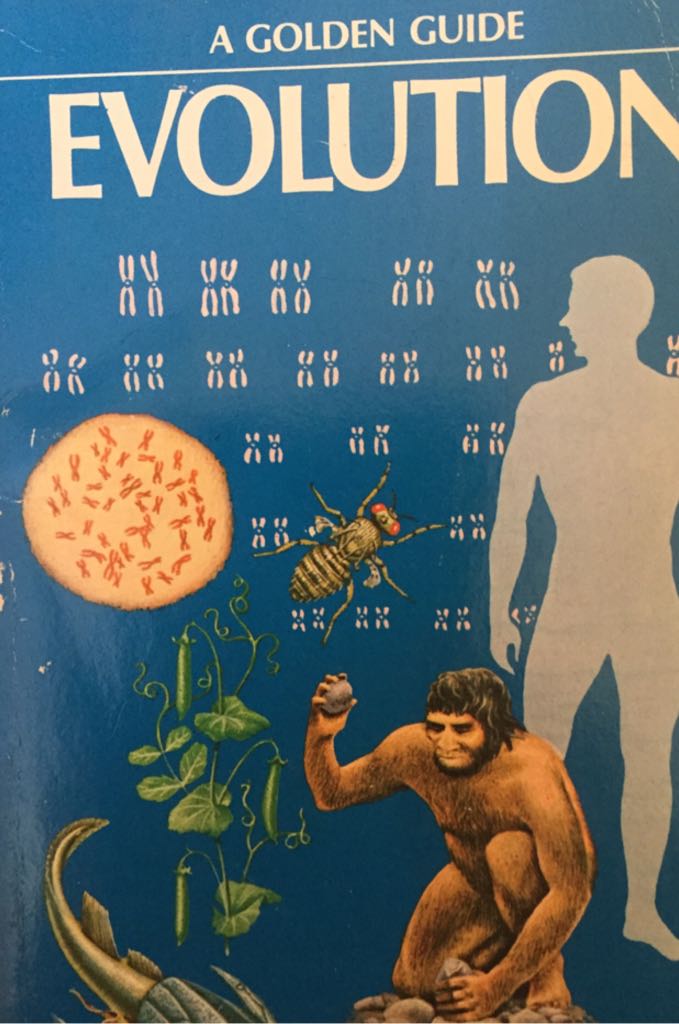 Evolution - Frank Rhodes book collectible - Main Image 1