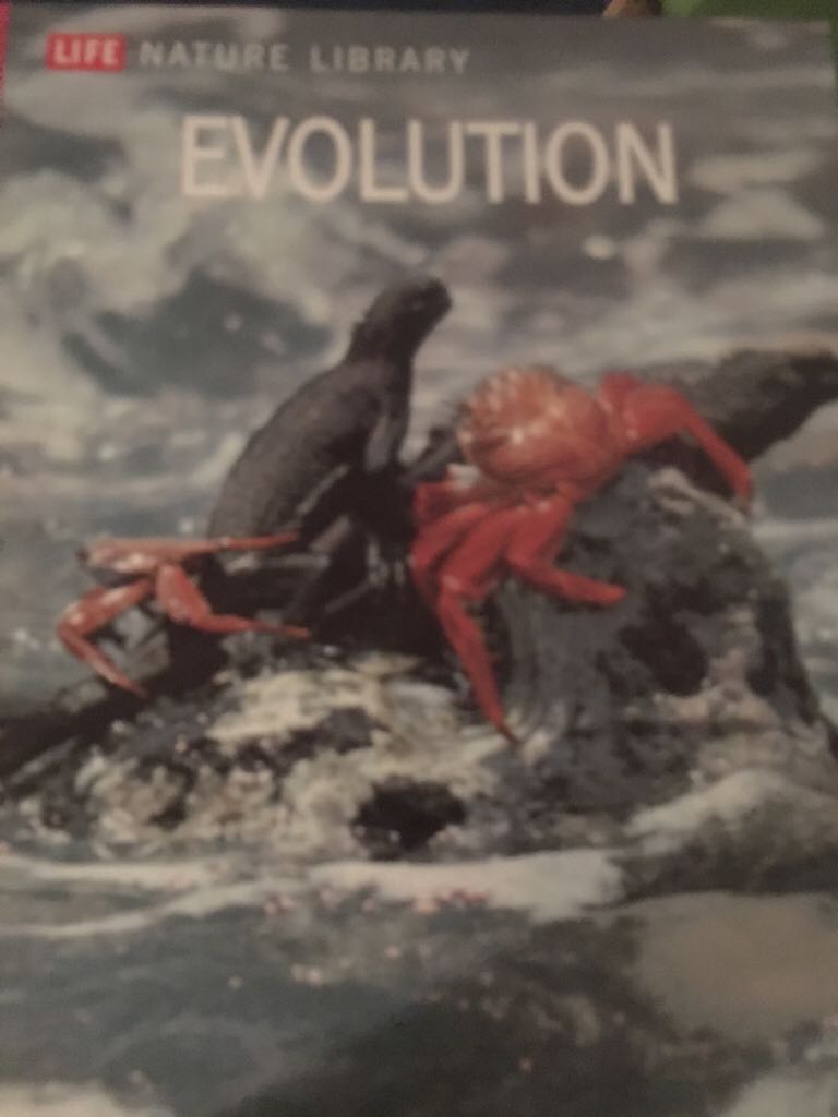 Evolution - Gamlin, Linda book collectible - Main Image 1
