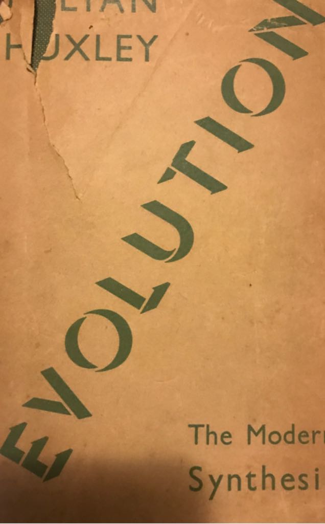 Atlas of Women in the World