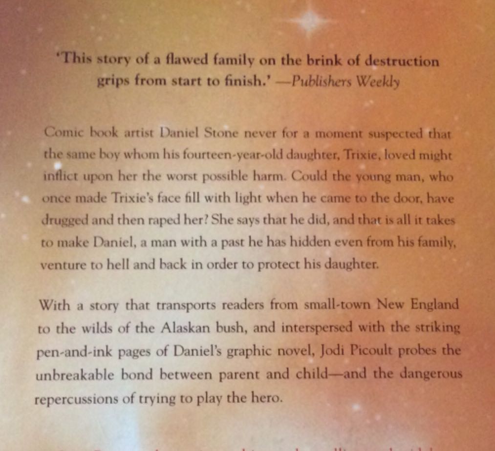 The Tenth Circle - Jodi Picoult (Hodder - Paperback) book collectible [Barcode 9780340960561] - Main Image 2