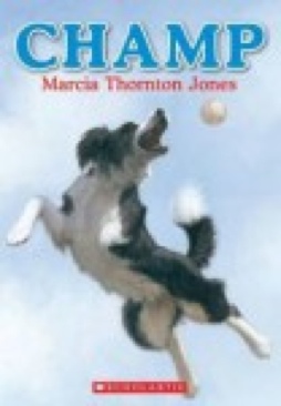 Champ - Marca book collectible [Barcode 9780545001489] - Main Image 1