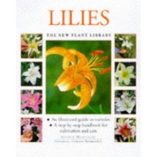 Strategy - ISBN 978-1-59139-632-1