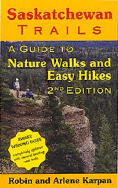 The English Patient (Picador thirty)