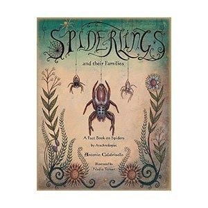 La stirpe di Salomone