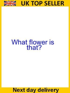 La Mia Vita/ La Mia Battaglia