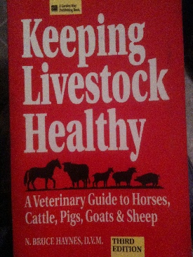 The Integrated Self-Advocacy ISA Curriculum Teacher Edition: A Program