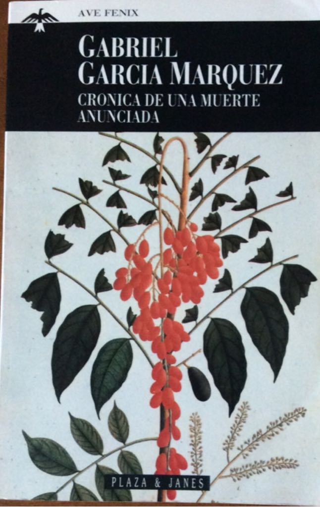 Everything Is Illuminated