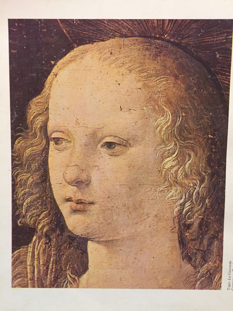 Leonardo - Mina Bacci book collectible - Main Image 2