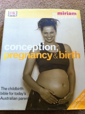 Die Schwester der Zuckermacherin/AschenblÃ¼ten -