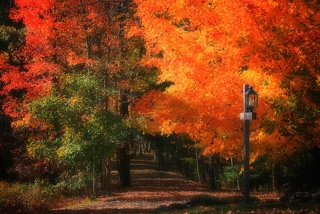 Vuelta Al Mundo En 80 Dias