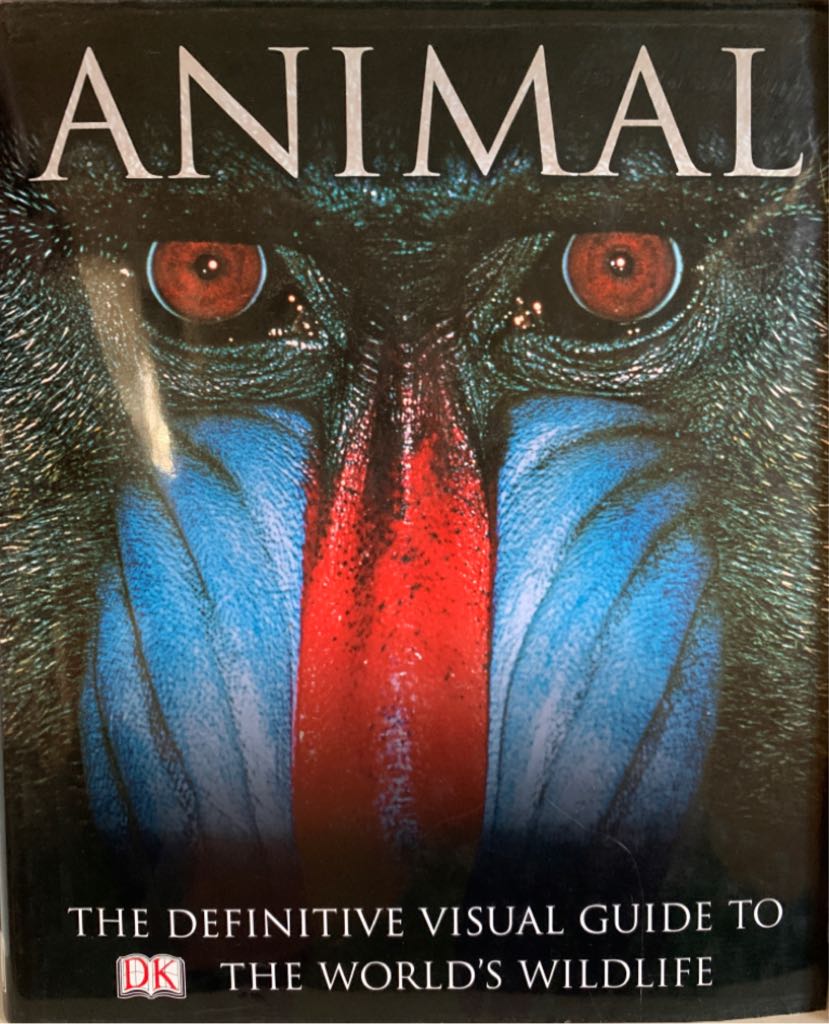 The Essential Guide To Planets And Moons