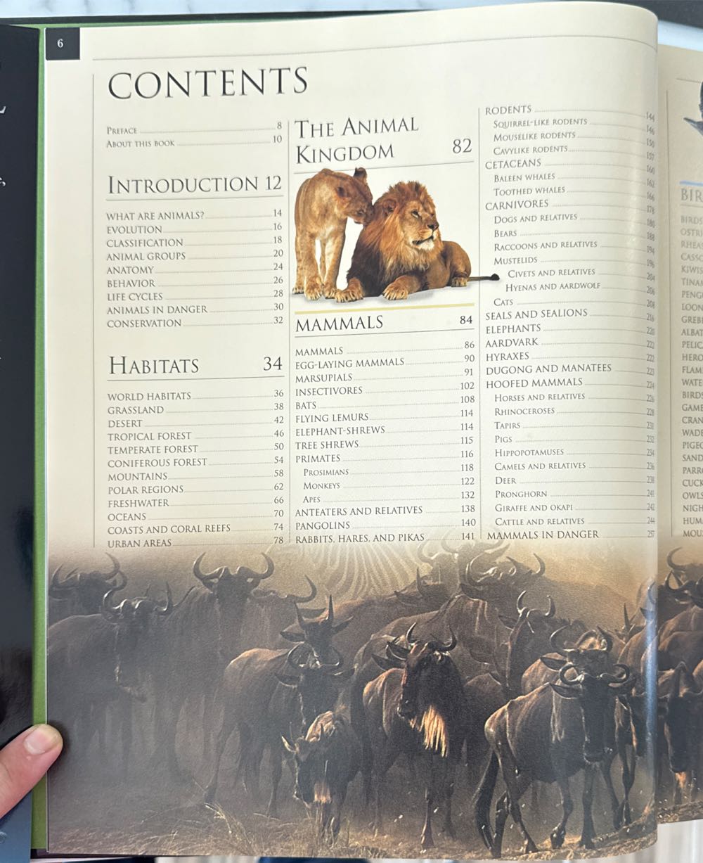 Smithsonian Institute: Animal - Dorling Kindersley (Covent Garden Books - Hardcover) book collectible [Barcode 9780756660024] - Main Image 3