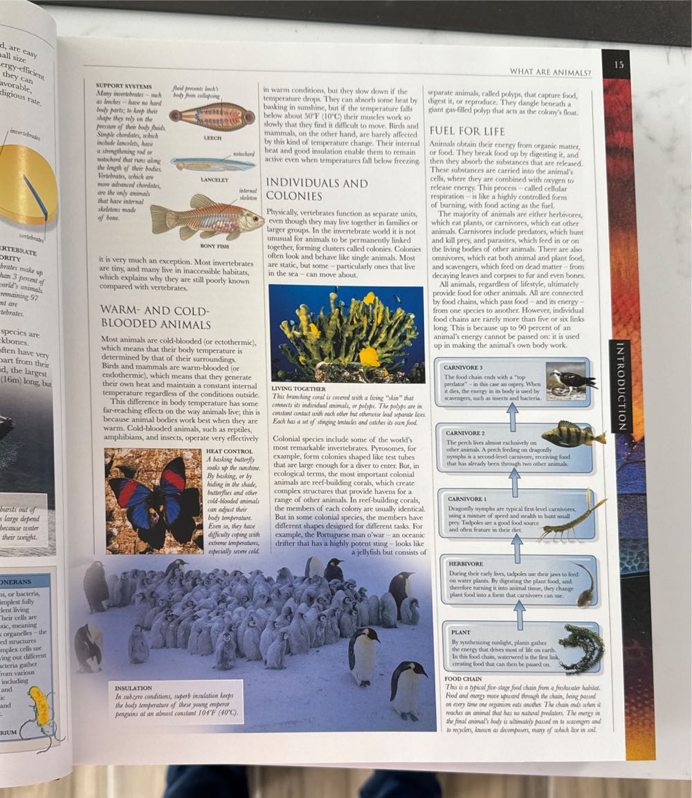 Smithsonian Institute: Animal - Dorling Kindersley (Covent Garden Books - Hardcover) book collectible [Barcode 9780756660024] - Main Image 4