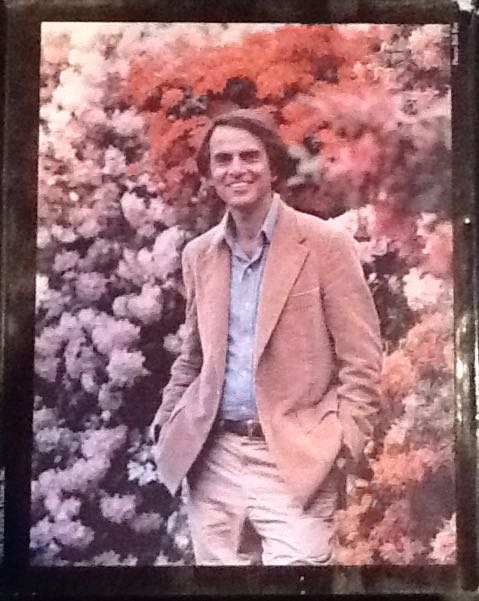 Cosmos - Carl Sagan (Mcdonald Futura - Hardcover) book collectible [Barcode 9780354045315] - Main Image 2