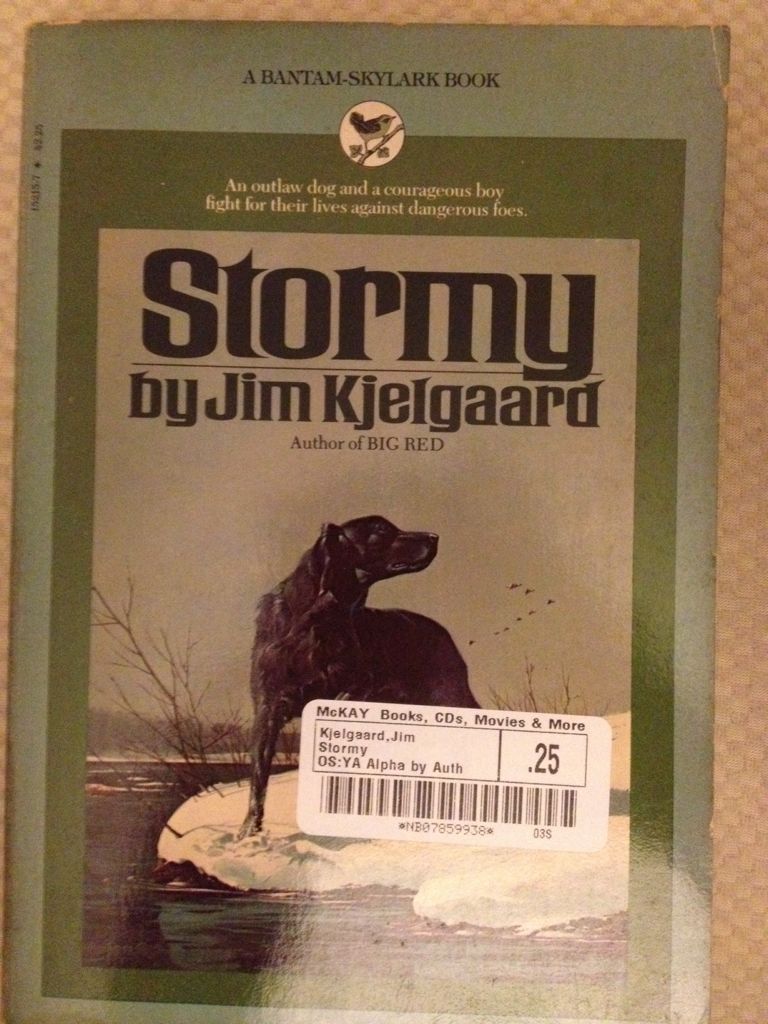 Image 3621930