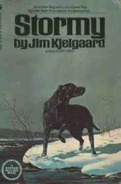 Stormy - J.R. Cobb (Paperback) book collectible - Main Image 1