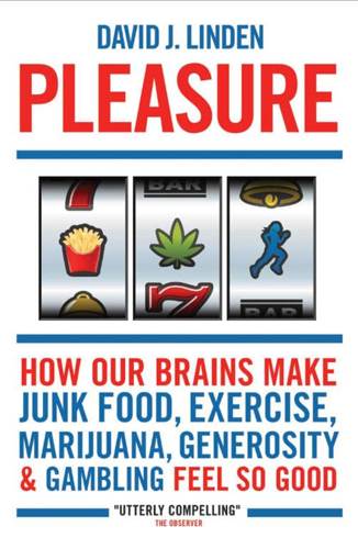 The Cupid Chronicles