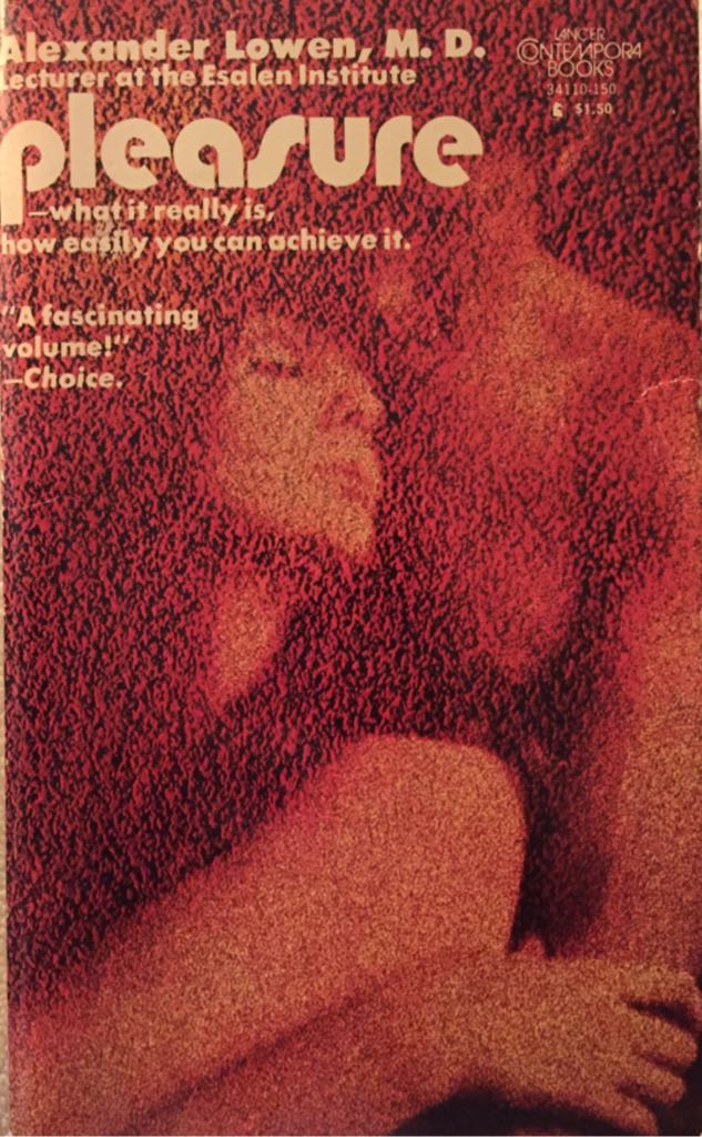 Asterix und der Kupferkessel