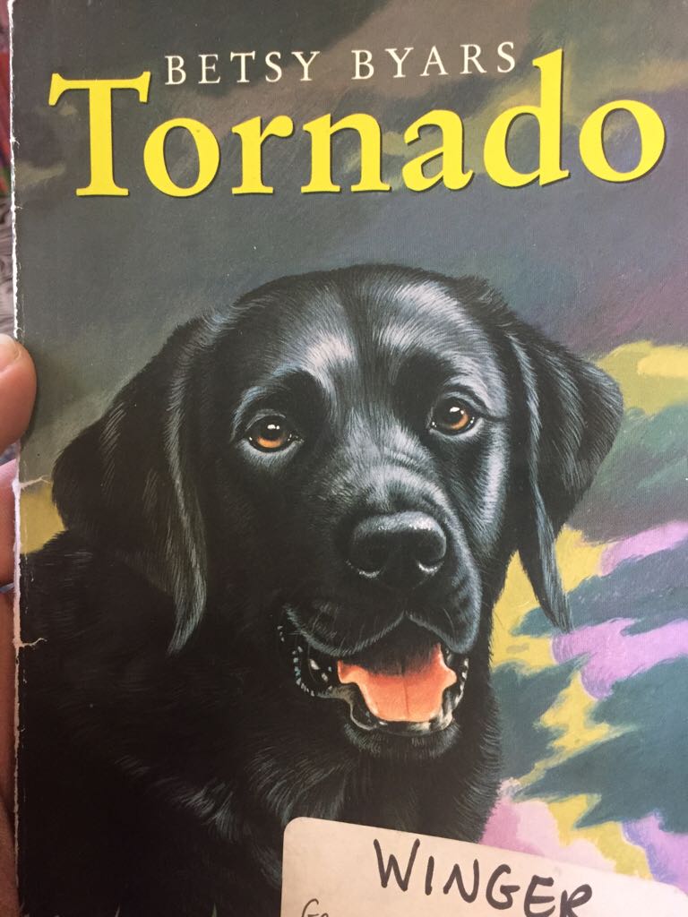 Webdesign mit Photoshop Aktuell zu CS4, m. DVD-ROM -978-3-8362-1242-7 ()