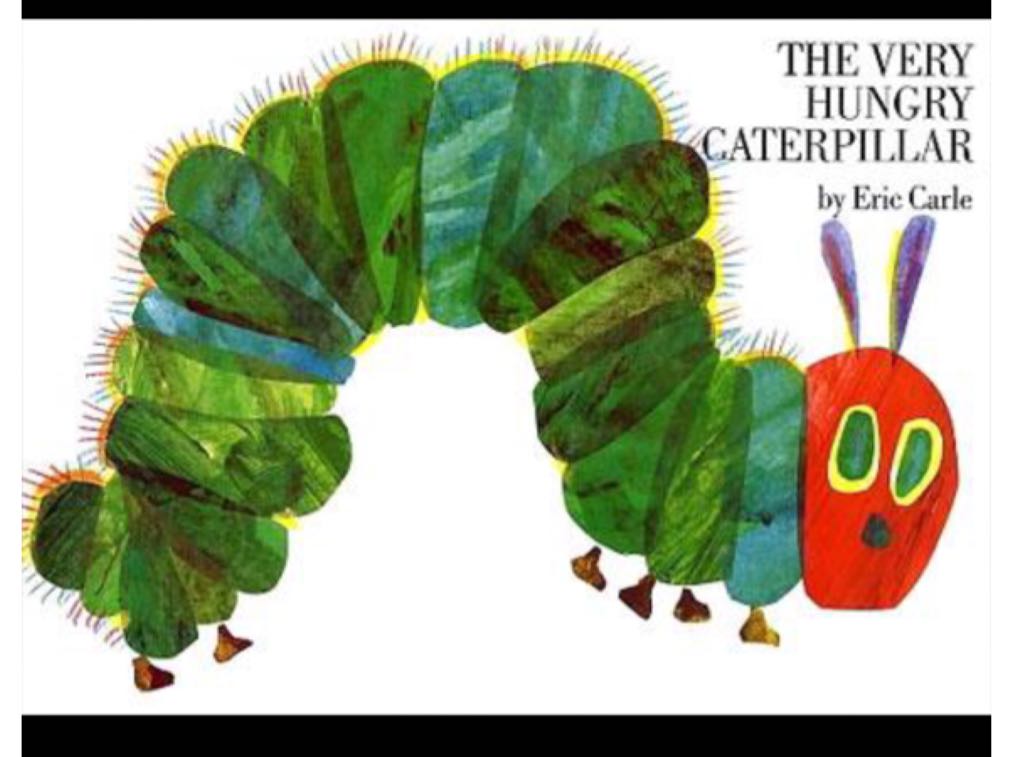 My Big Dinosaur Book