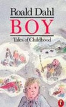 Boy: Tales Of Childhood - Roald Dahl (Puffin Books - Paperback) book collectible [Barcode 9780140318906] - Main Image 1