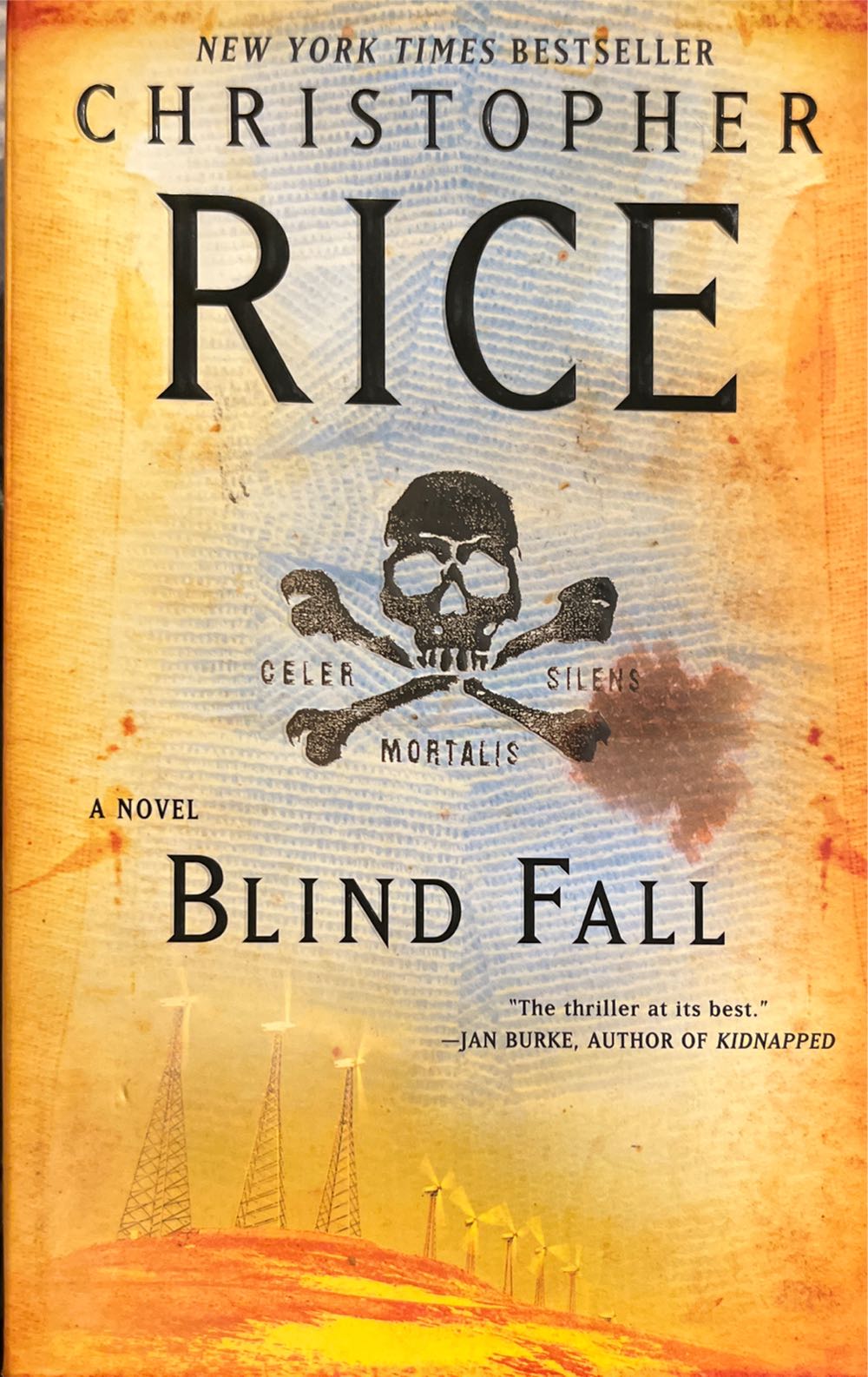 Blind Fall - Christopher Rice (Pocket Books - Paperback) book collectible [Barcode 9780743294003] - Main Image 2
