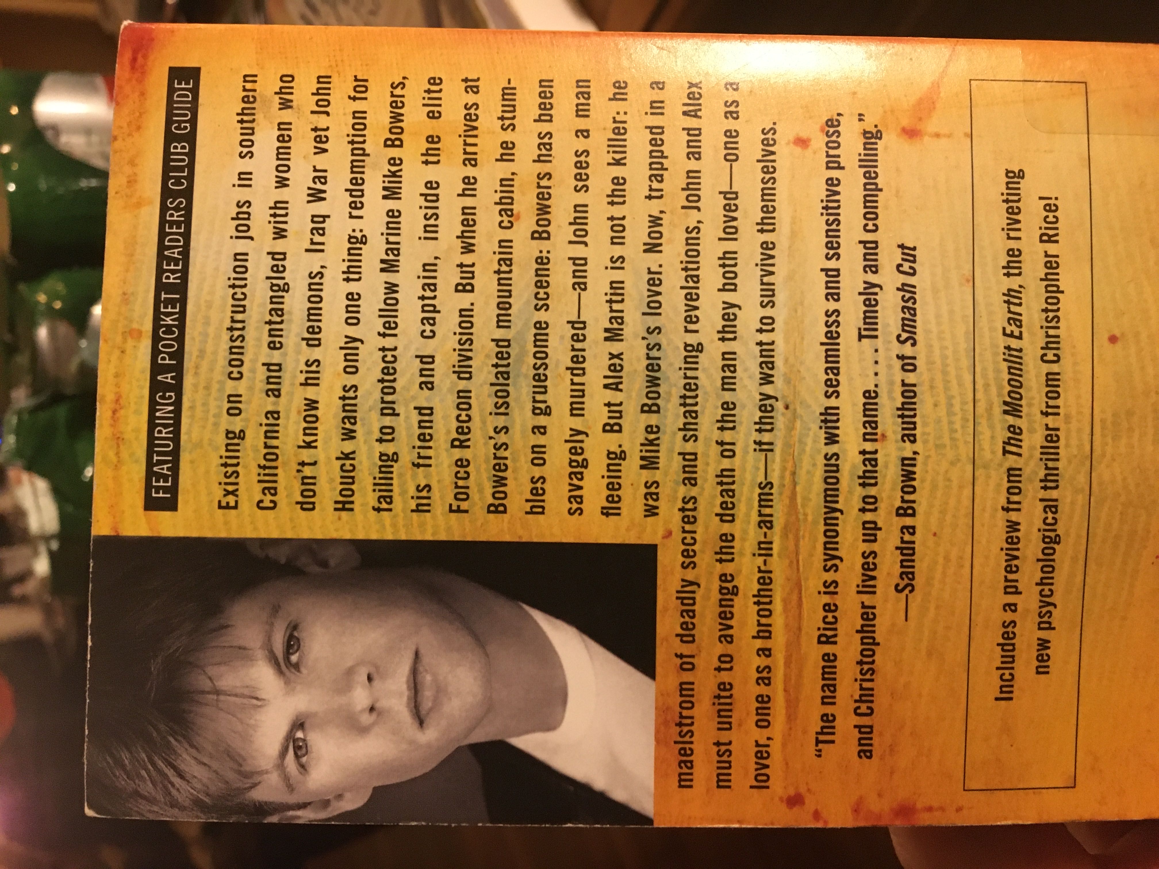 Blind Fall - Christopher Rice (Pocket Star - Paperback) book collectible [Barcode 9781416525561] - Main Image 2