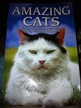 Build Your Own ASP.NET 3.5 Web Site Using C sharp and VB -978-0-9804552-1-2 ()