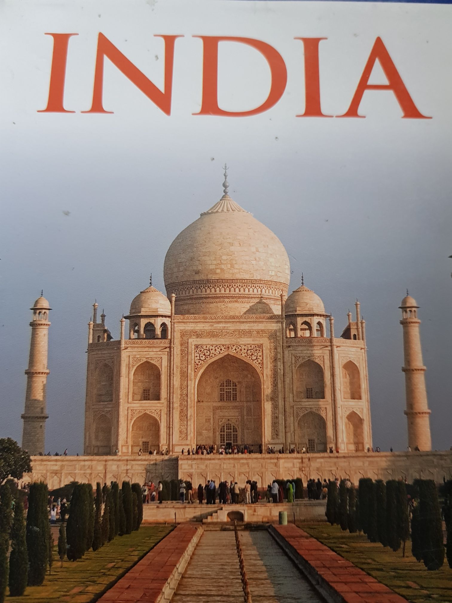 Dinosaurs Love Underpants