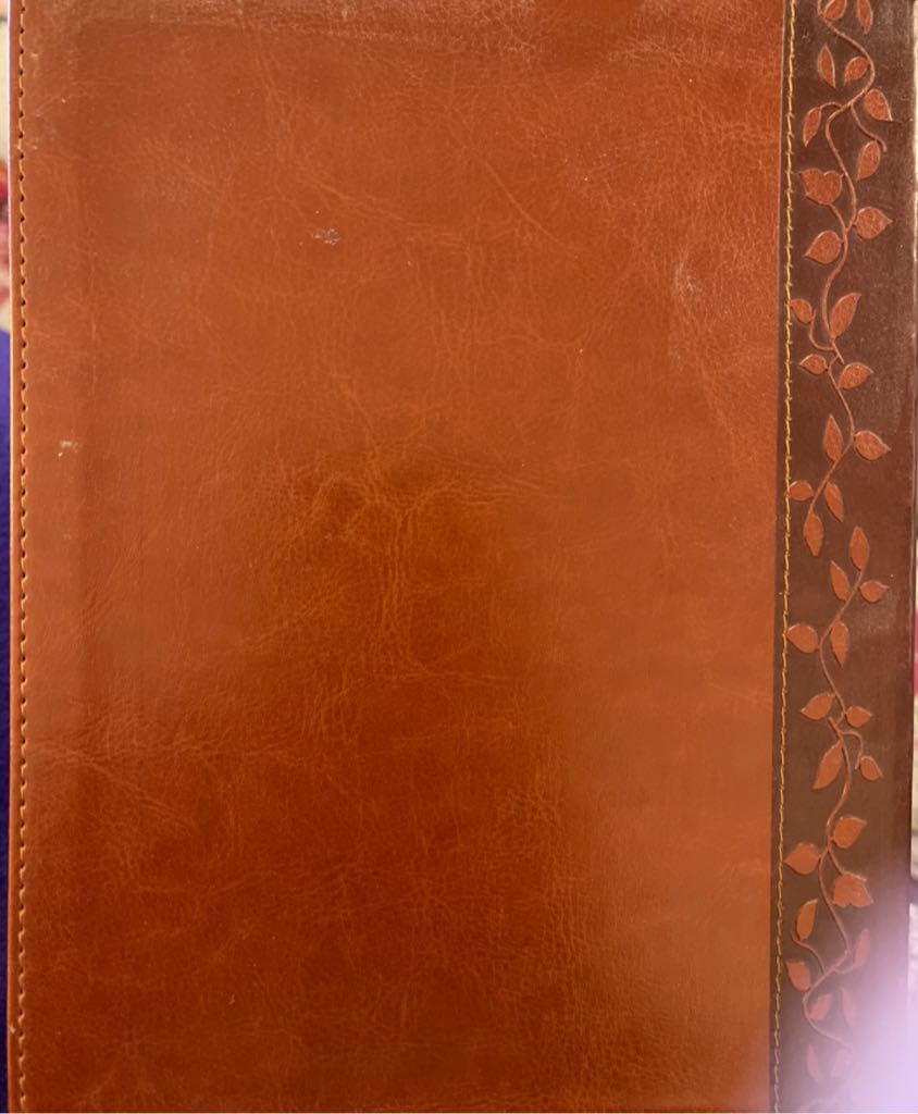 Jesus Calling: Enjoying Peace In His Presence - Sarah Young (Thomas Nelson Publishers - Hardcover) book collectible [Barcode 9781400318131] - Main Image 2